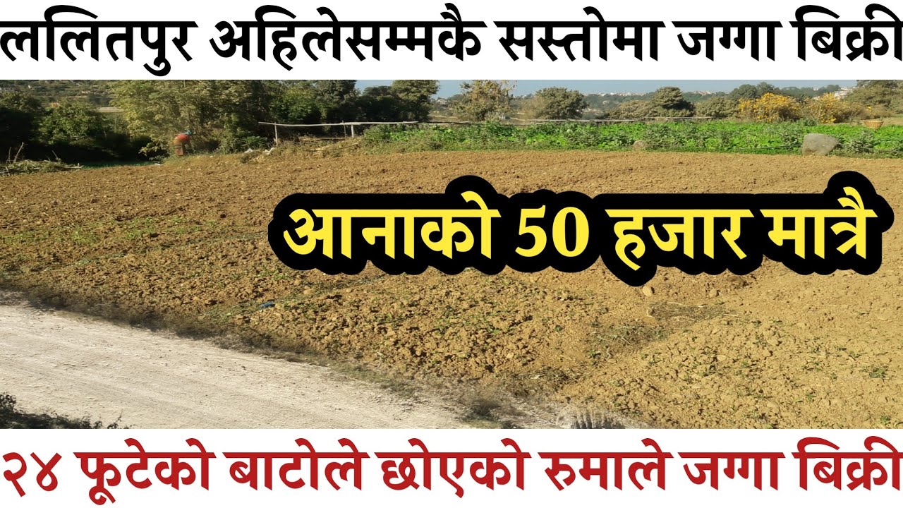 जग्गा बिक्री ललितपुरमा|Land sale in lalitpur|ghar jagga nepal|hamrobazar |urgent house sale in ktm