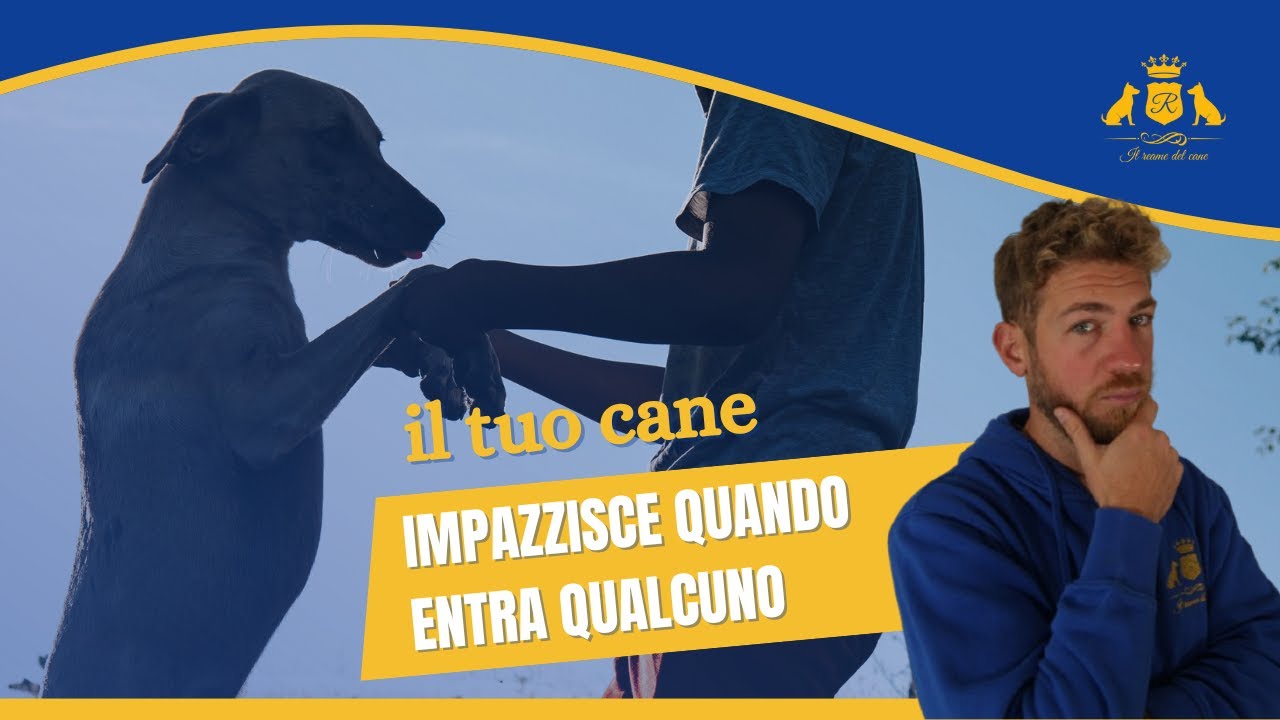 Se il Tuo Cane Fa Questo Quando Arrivano Ospiti, Hai un Problema! 🚨