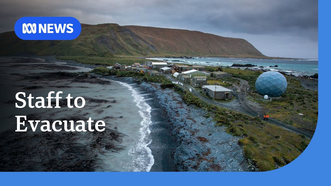 Macquarie Island staff evacuating due to 'psychological risk' of bird flu | ABC NEWS