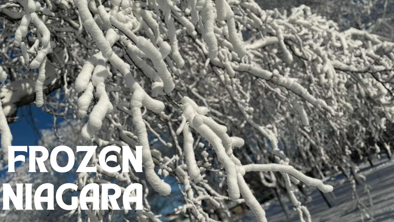 Niagara Falls Frozen 😱❄️ | Once-in-a-Lifetime Winter Magic!