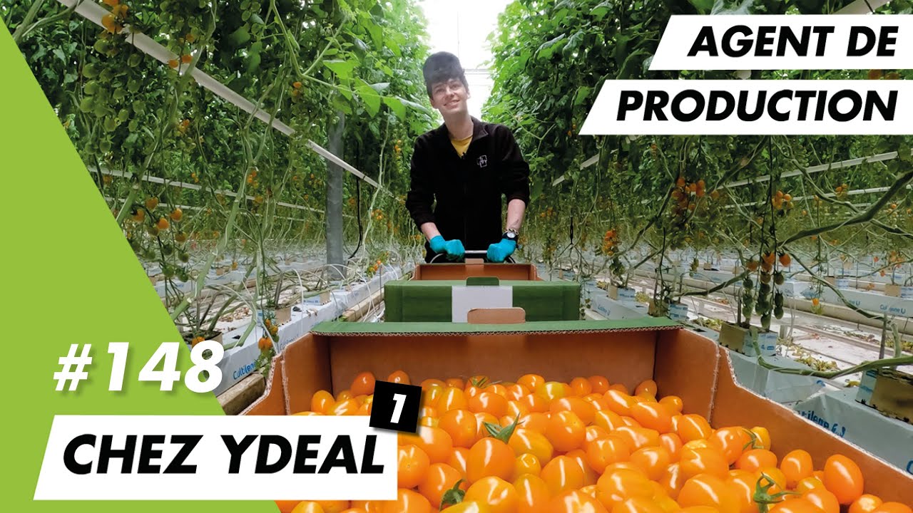 Je découvre le métier de saisonnier avec Alexis chez Ydeal qui recrute en Pays nantais