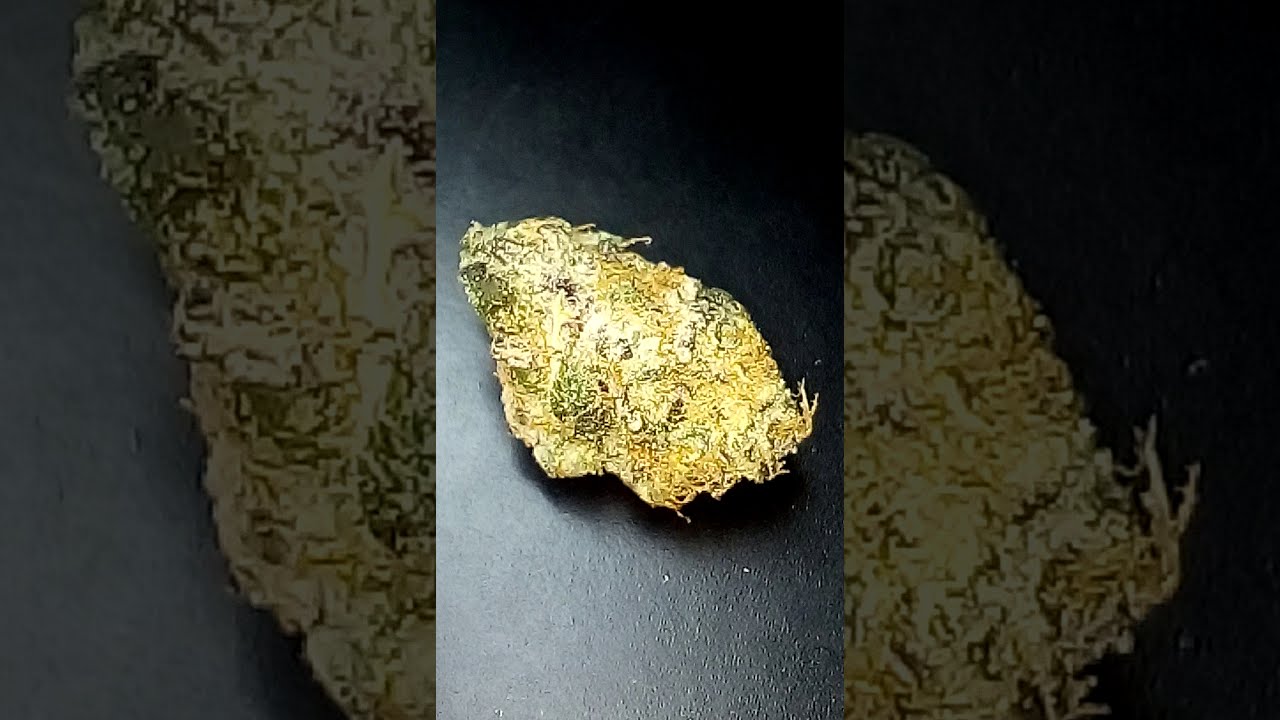 Cactus Breath, Indica .