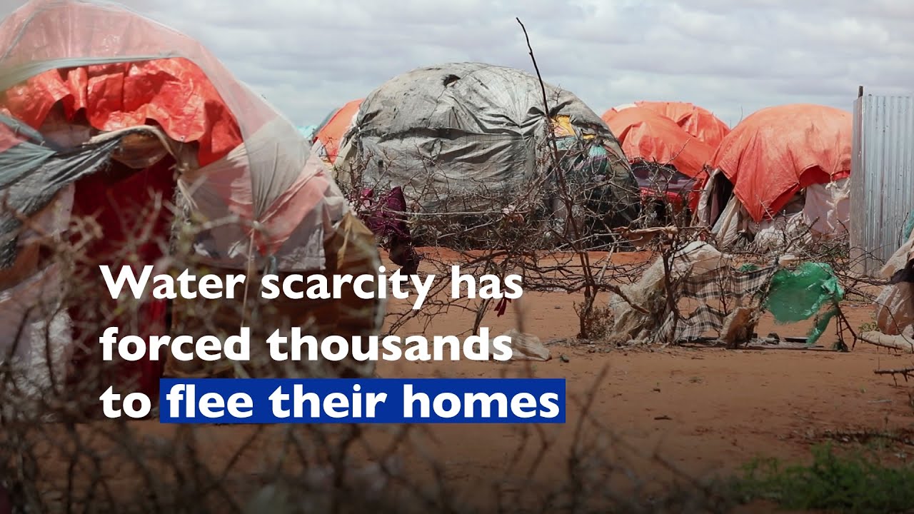 Providing Access to Safe and Clean Water in Somalia