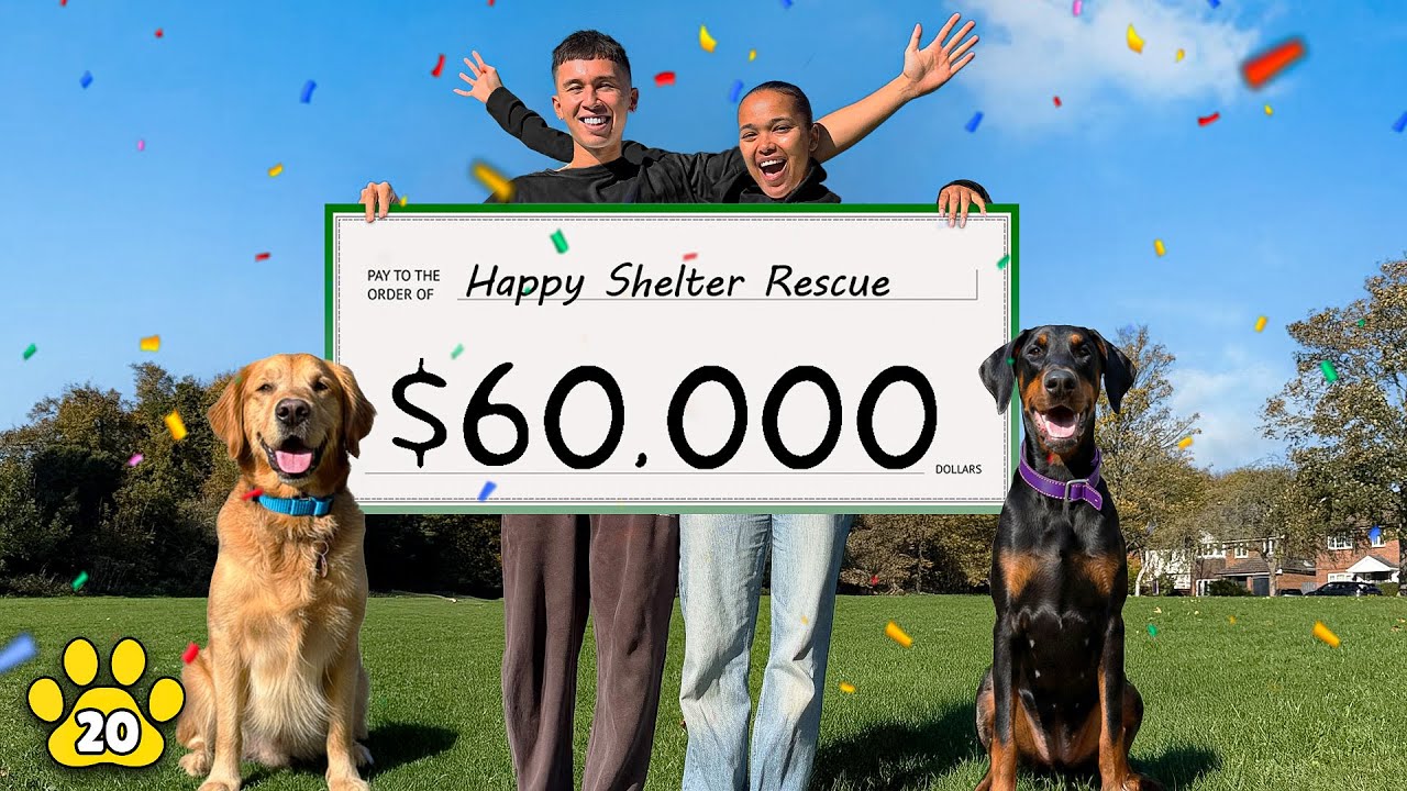 We Rescued 30 Abandoned Dogs in 30 Days