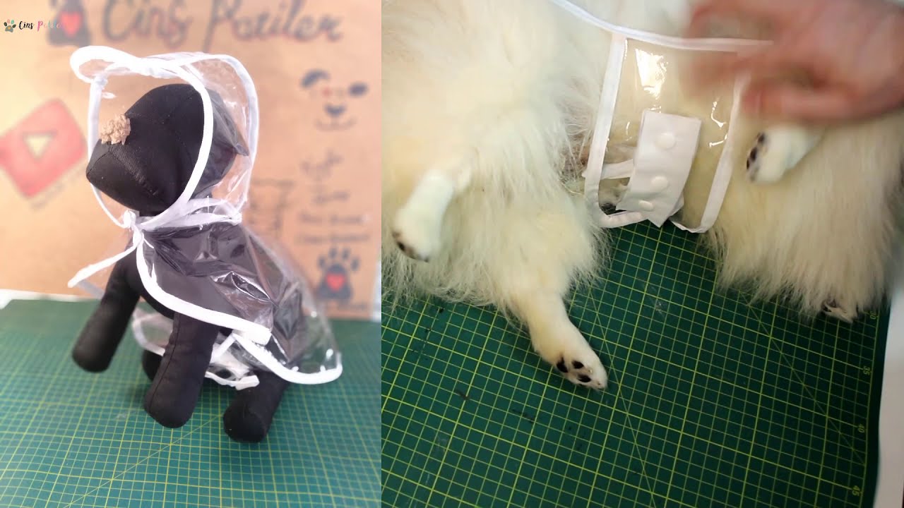 Kedi ve Köpek Yağmurluğu yapımı. Pvc Poşetten yağmurluk yaptık