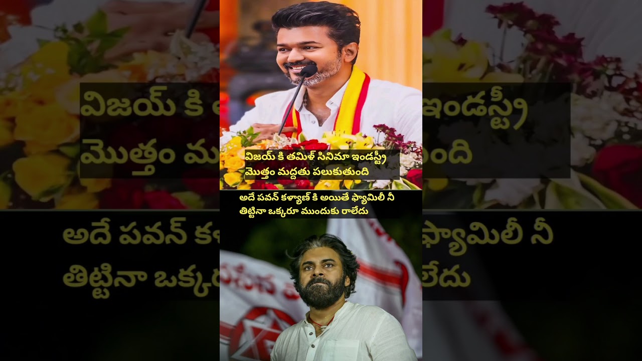 Tamilandu Vijay Pawan Kalyan Political Comparing #vijaythalapathy #pawankalyan #shorts