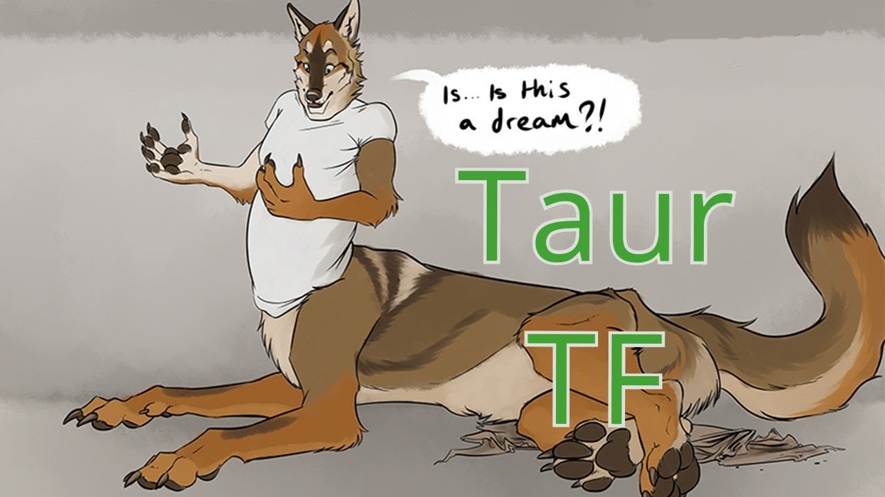 Taur Transformation / Taur TFTG