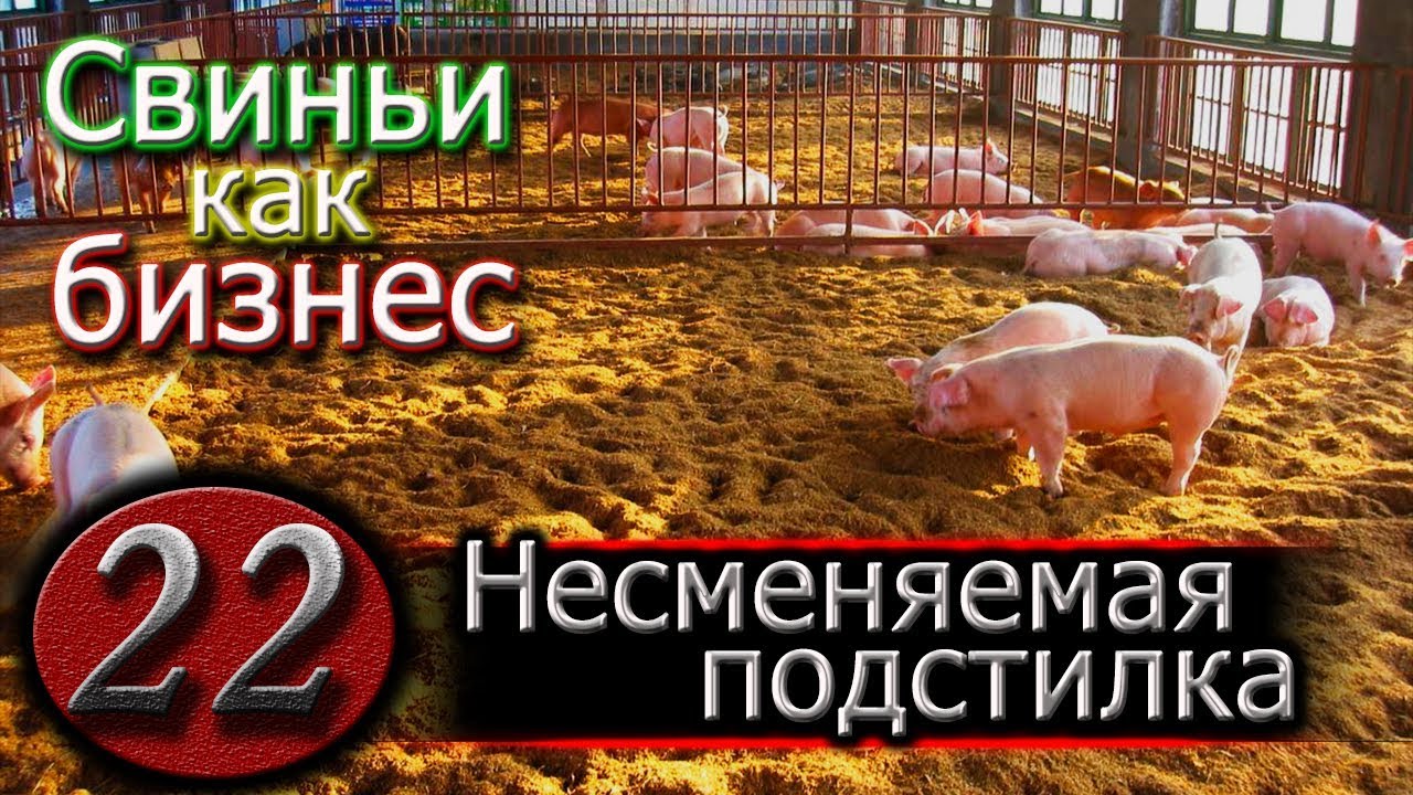 ГЛУБОКАЯ ПОДСТИЛКА
