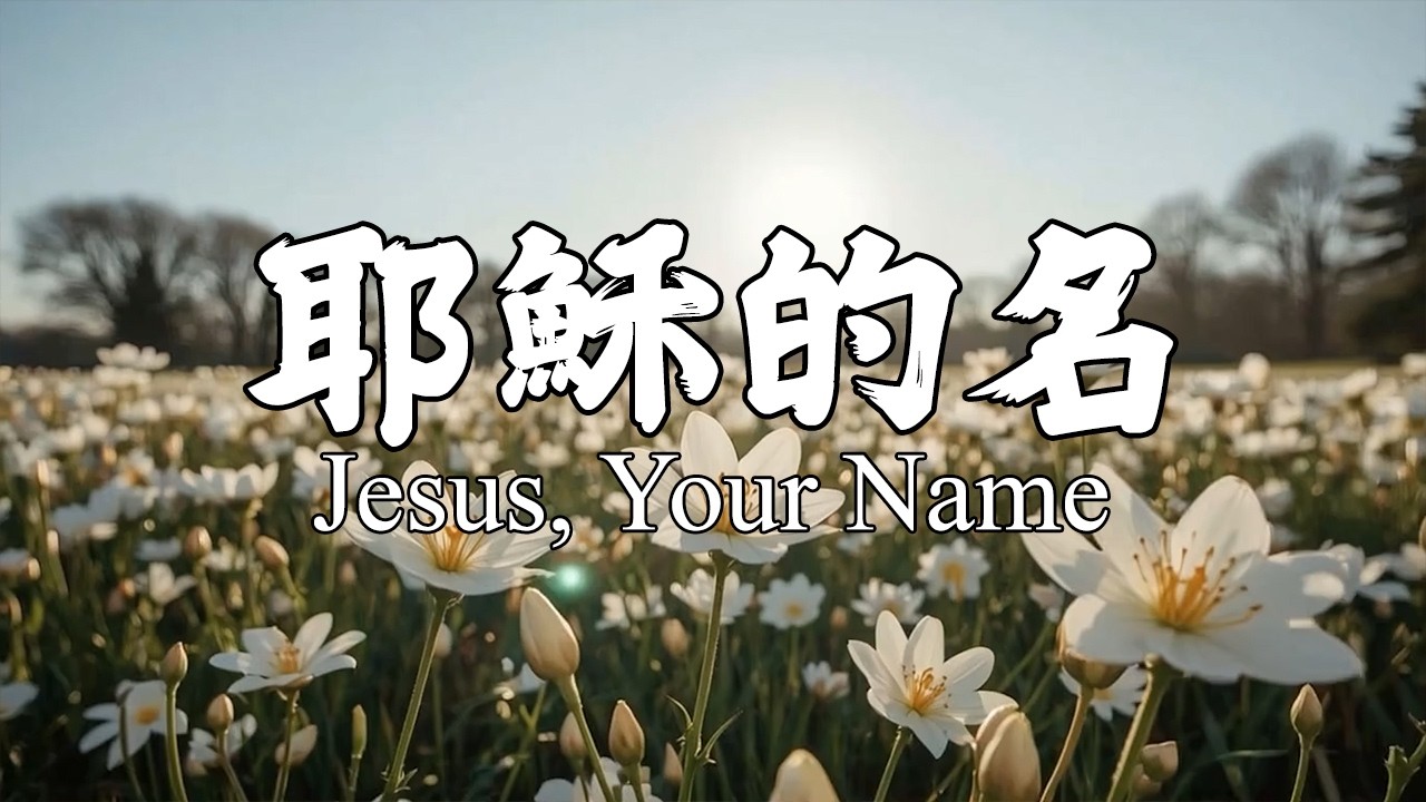 耶穌的名 Jesus, Your Name｜基督敬拜诗歌 Christian Worship Song｜30分钟女歌手轻松基督教崇拜音乐｜感恩