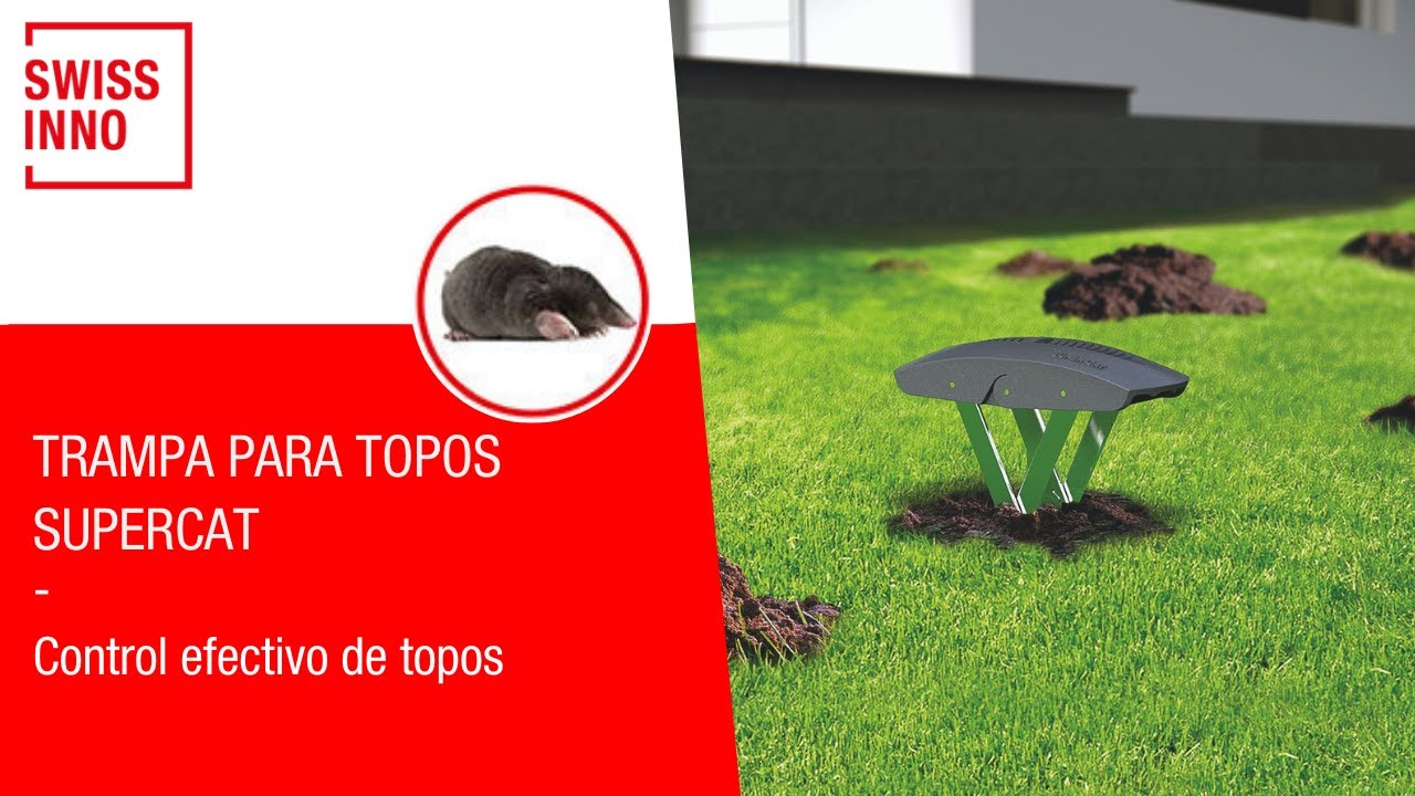 Trampa para Topos SuperCat SWISSINNO