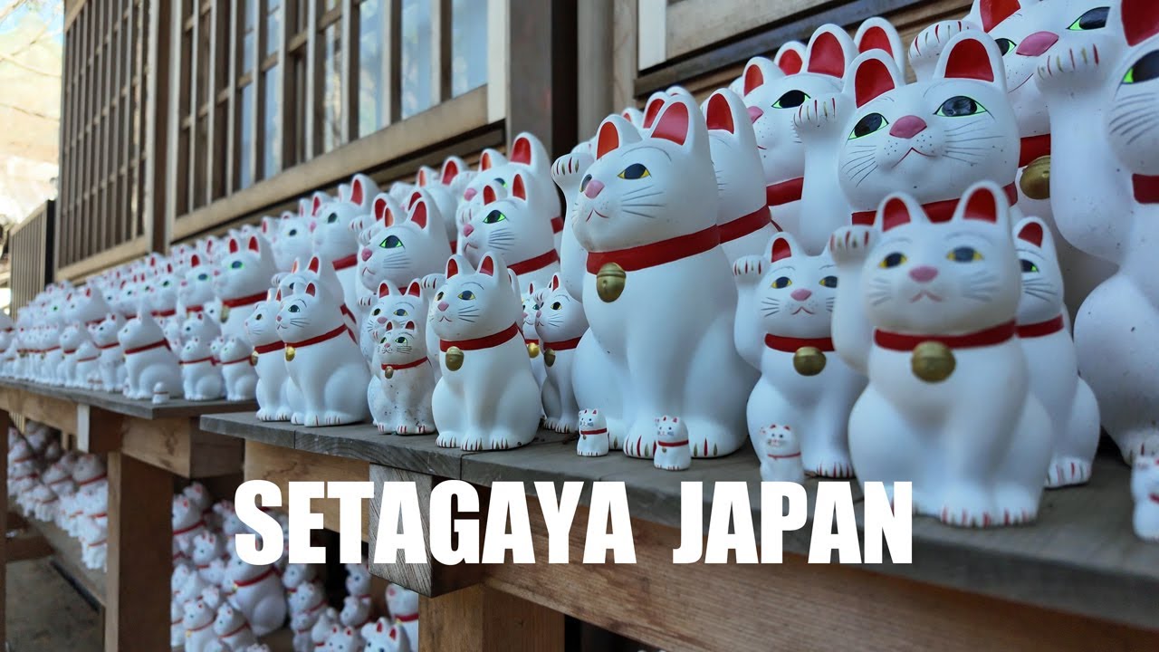 A Day in Setagaya: Sumo and Lucky Cats