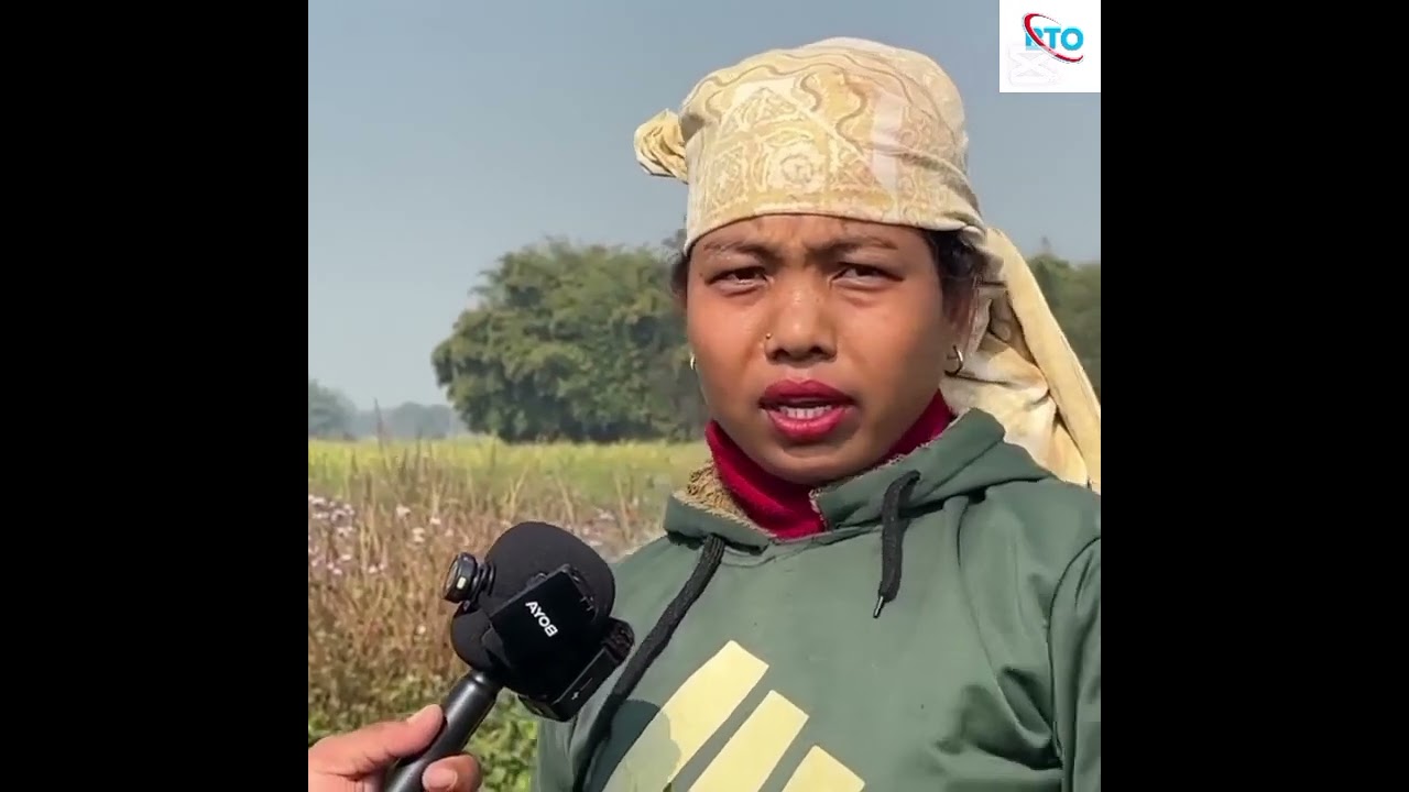 बर्दियामा खेतमा काम गरिरहेकि एक महिलालाइ बाघले खायो ।#bhuwanthapamedia 🎤