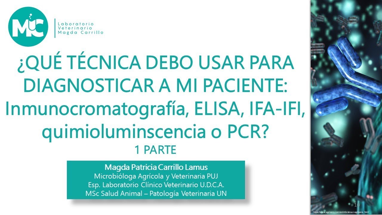 PARTE 1: ¿Qué técnica debo usar para diagnosticar a mi paciente?