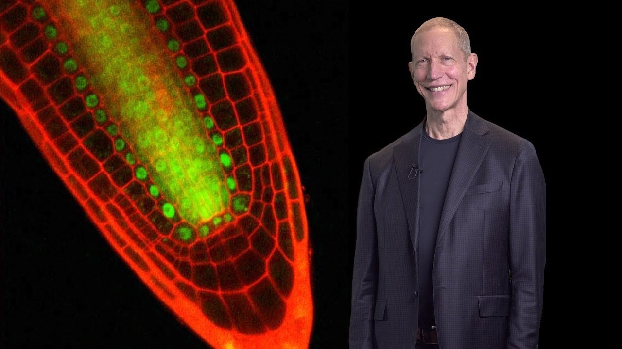 Philip Benfey (Duke, HHMI) 1: Introduction to Root Genetics