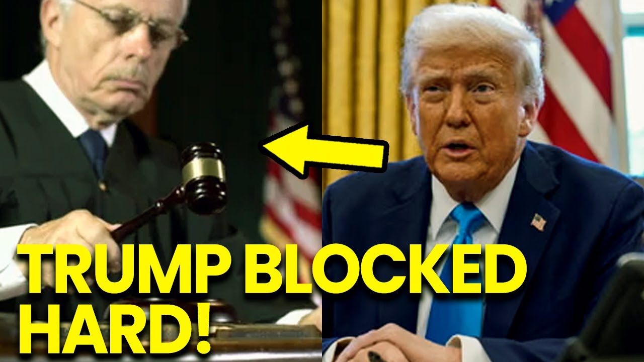 Trump PANICS as Federal Judges GANG UP to BLOCK His Authoritarian Orders
