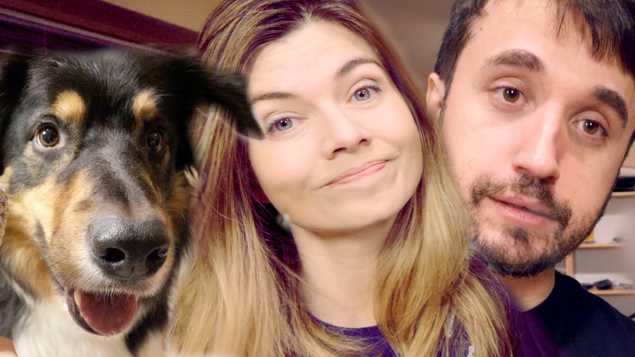 VAMOS TER UM CACHORRINHO? - Ep. 1420