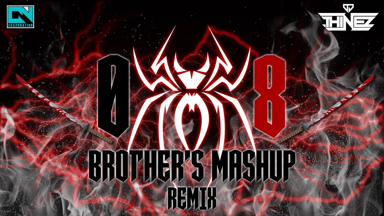 Dj Thinez - 08 Brother's Mashup Remix l Exclusive Requested Mix l 2022