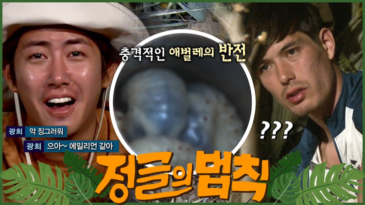 [#정글의법칙] 어쩌다 마주친 오동통통한 애벌레🐛생각지도 못한 반전의 맛? ep.3