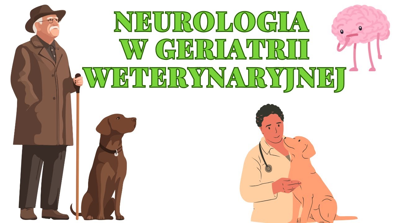Pies senior -  problemy neurologiczne, lek. wet Monika Suchecka