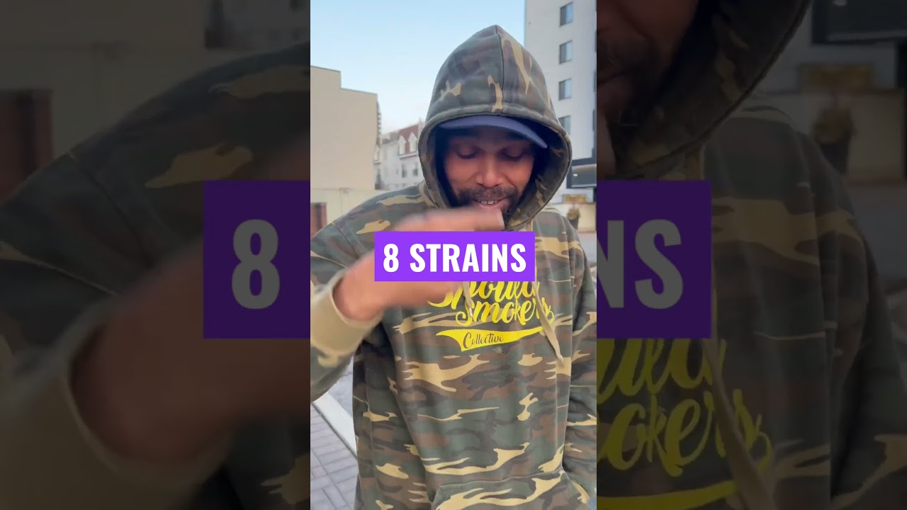 8 Flavors Of Backwoods