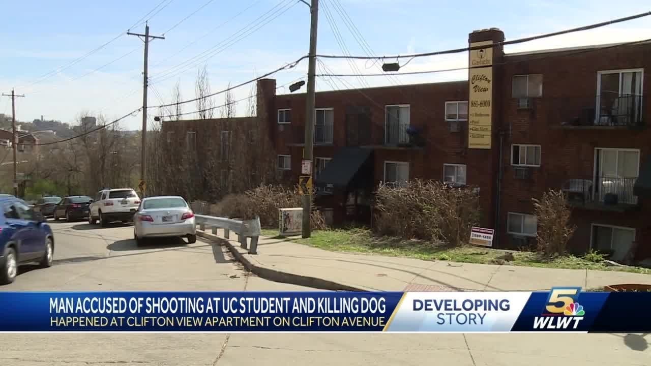 Bond boosted for man accused of shooting, killing UC student's 2 year-old Newfoundland