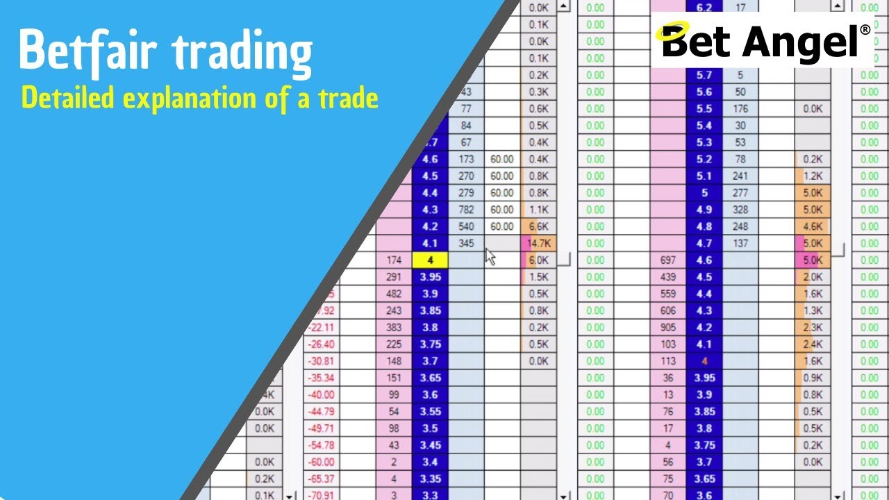 Betfair trading explained in depth | Horse racing trading on Bet Angel | Peter Webb