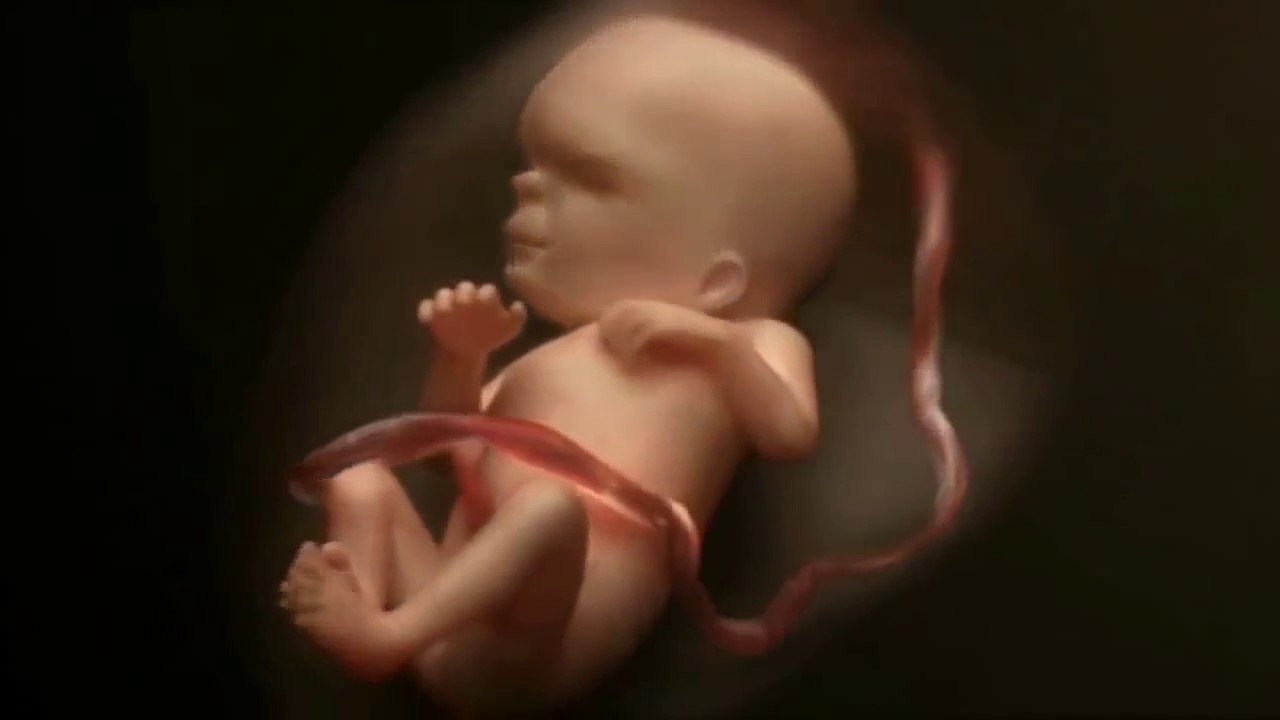 TEARDROP (poem to my unborn child) - Massive Attack reworking