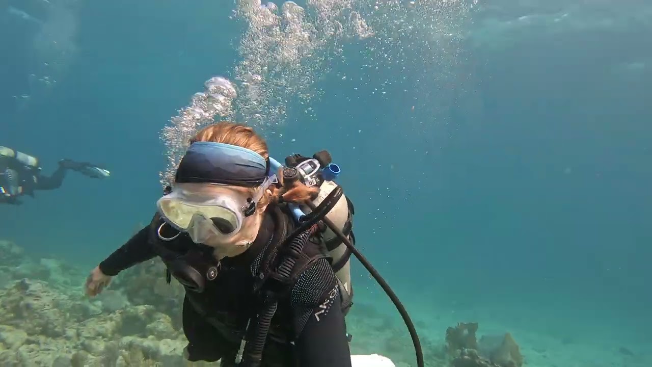 Elbow Reef, Key Largo
