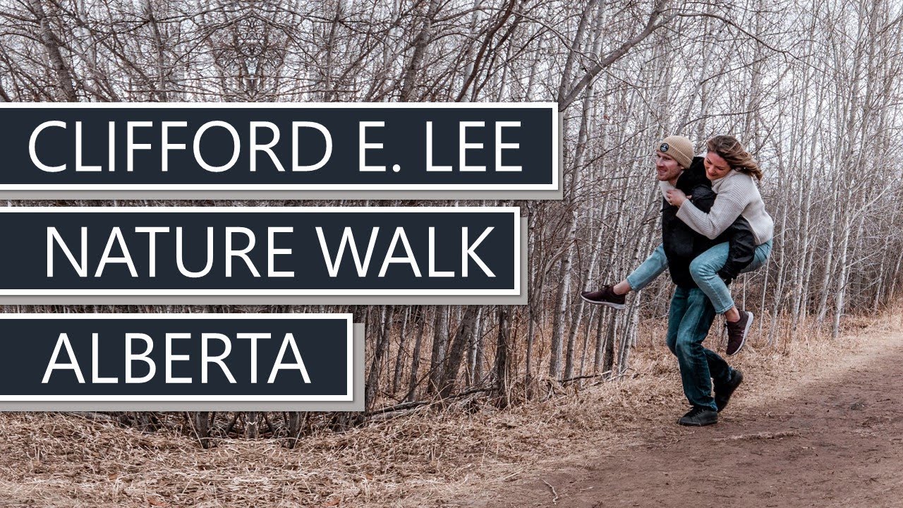 Get Outdoors in Edmonton | Visiting Clifford E. Lee Nature Sanctuary