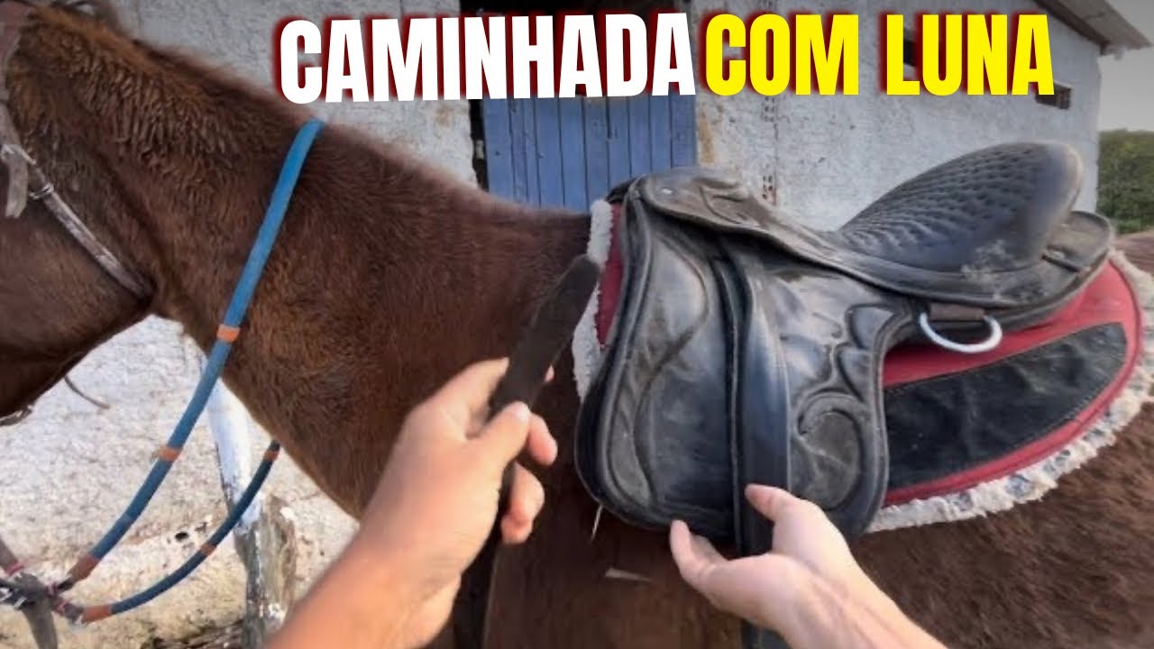 CAMINHADA COM LUNA(Hugo Menezez)