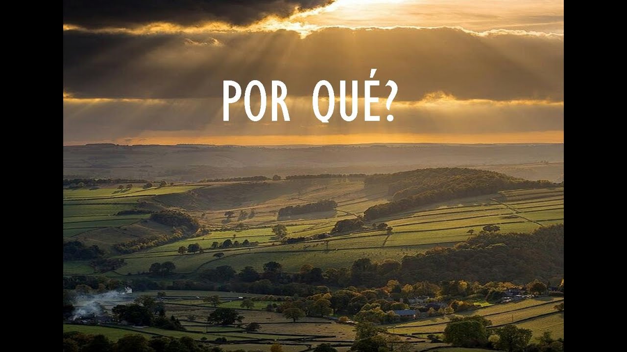 Por qué