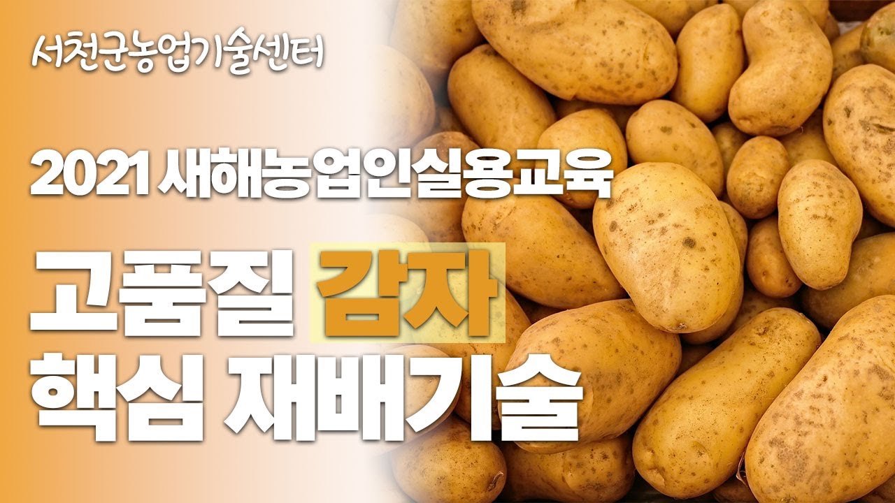 2021 새해농업인실용교육 [감자]