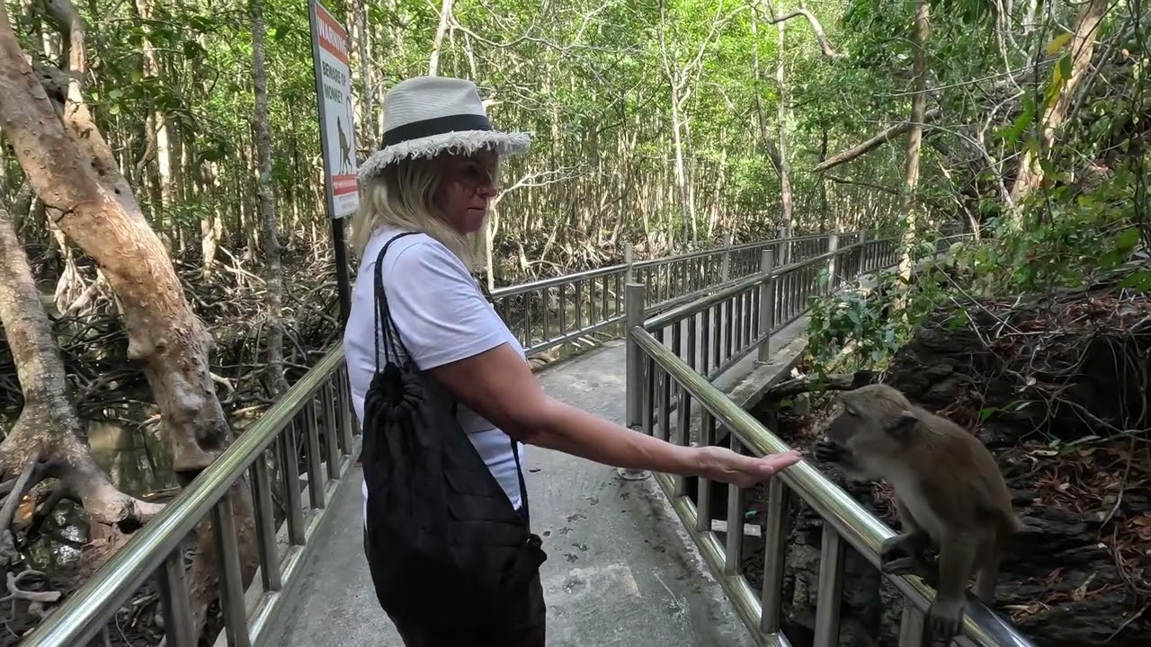 Kilim geoforest park Langkawi
