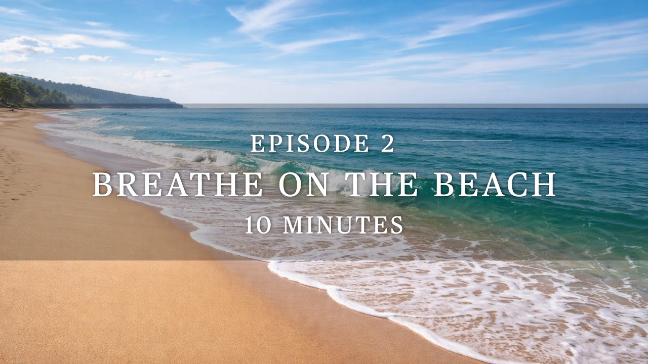 Beach Meditation for Gratitude | Nature-Based Guided Meditation | Into The Quiet Wilds