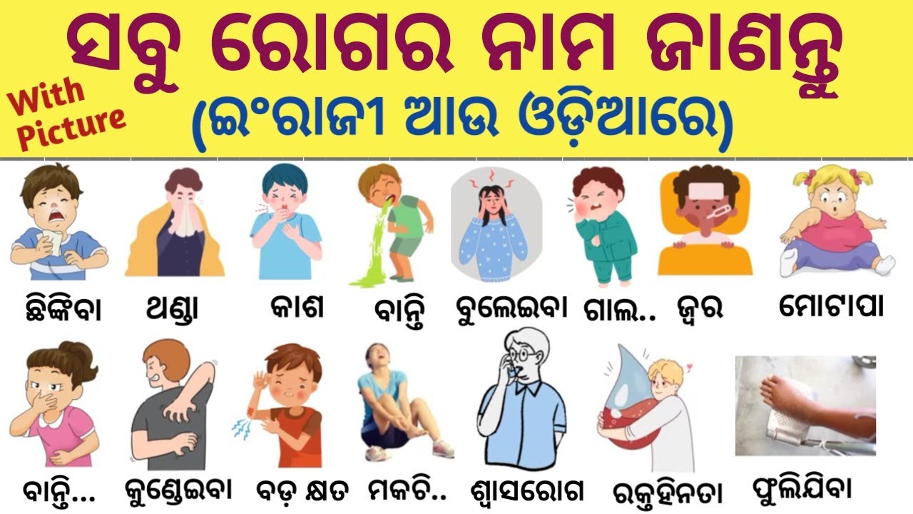 ସବୁ ରୋଗର ନାମ ଇଂରାଜୀ ଆଉ ଓଡ଼ିଆରେ Picture ସହିତ/All Diseases Name In English/Diseases Name/MakeEnglish 
