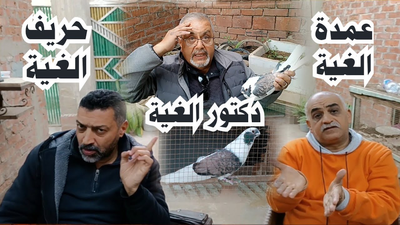 مواصفات القشر بندق مع عمدة الغية الحاج عادل ابو صغير واجمل غواة#تربووالغيةالمصرية