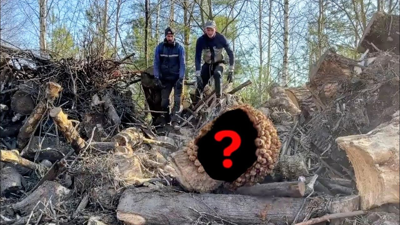 Нашел настоящий джекпот на свалке. Посмотри, что из этого получилось