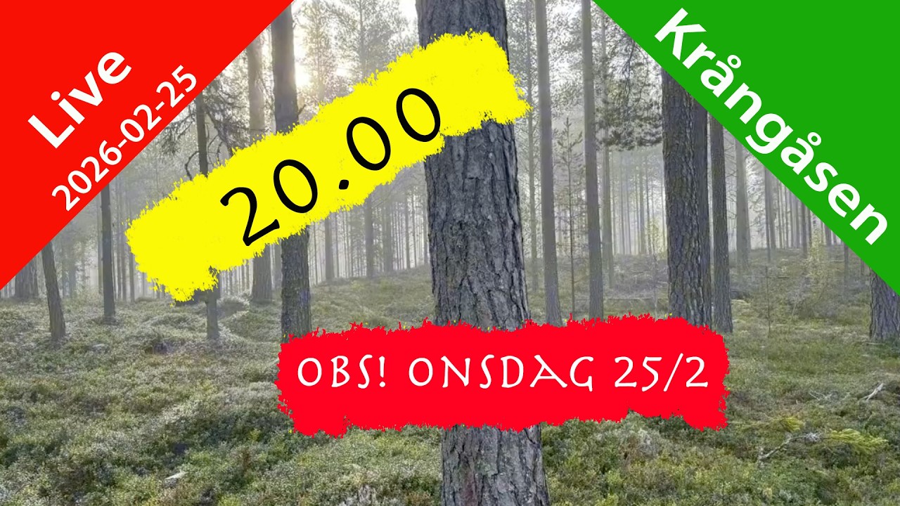 Tisdagslive på en Onsdag