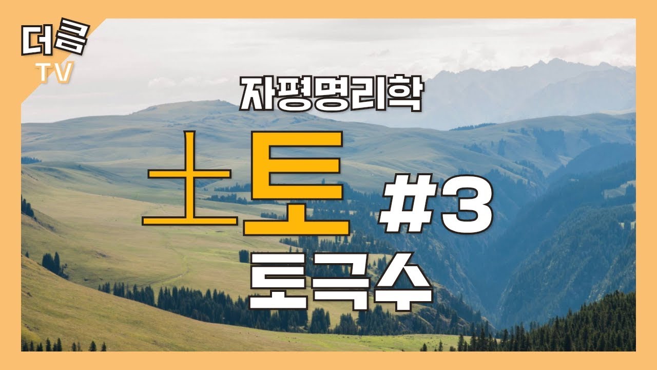 [자평명리학] 土토#3- 토극수