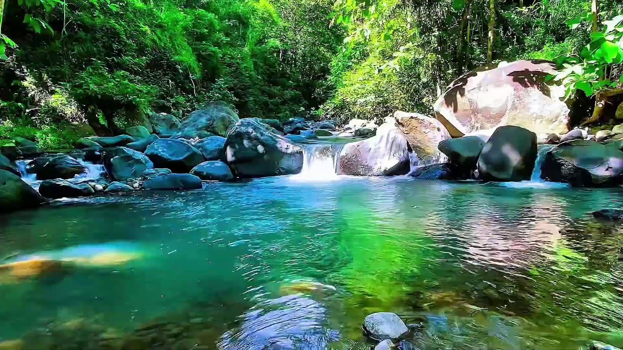 Soothing river ambience for relaxation