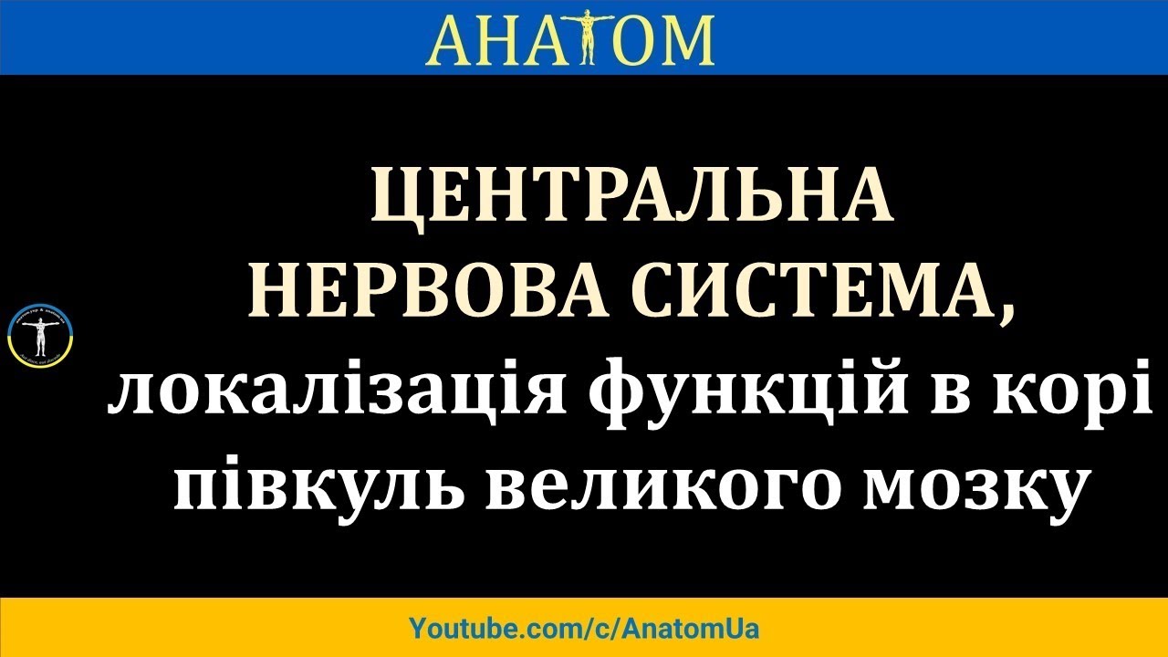 ЦНС 2