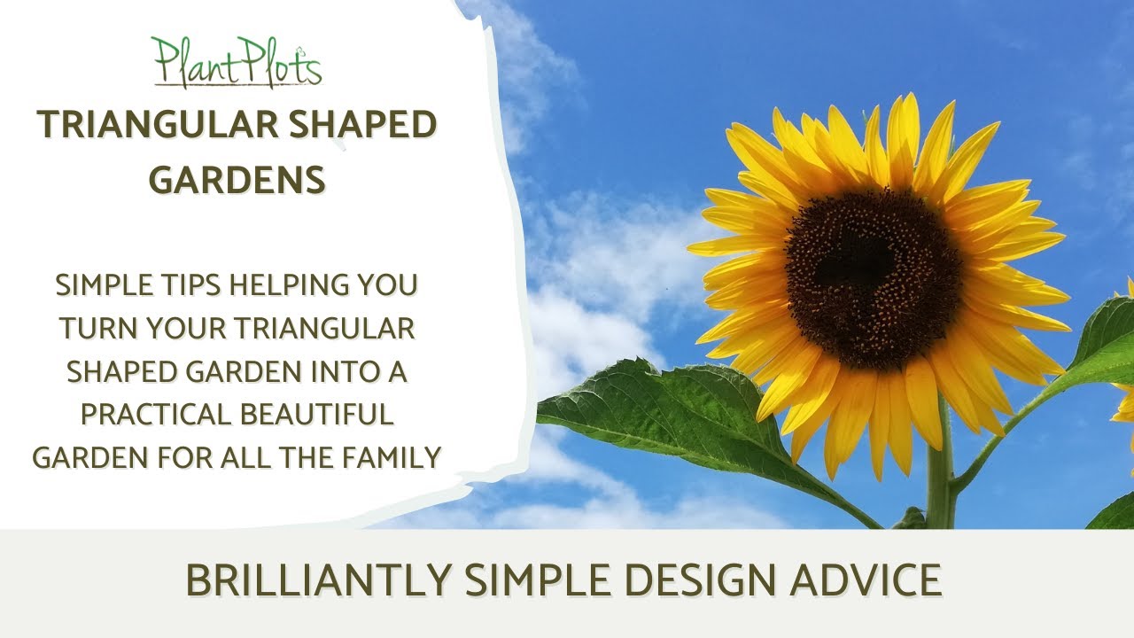 How to Design a Triangular Garden: 3 Professional Tips to Make it Feel Wider