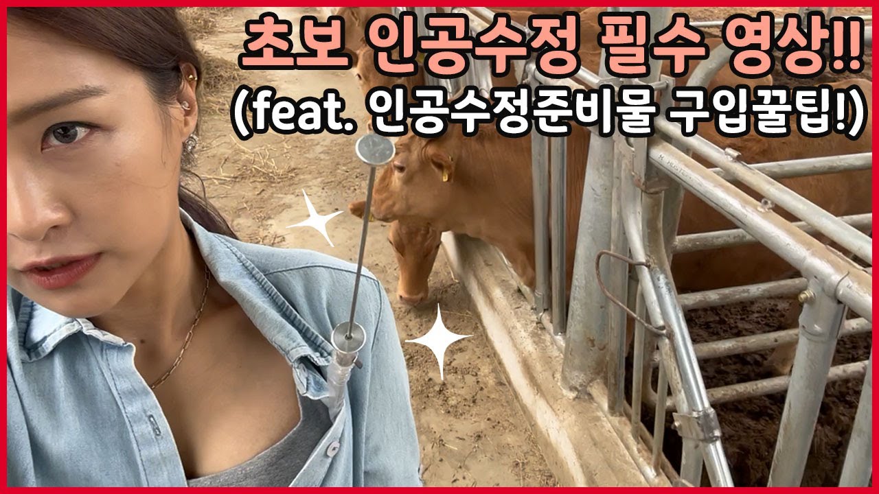 초보 인공수정 필수영상!!(feat.인공수정준비물 고르는 꿀팁!!)
