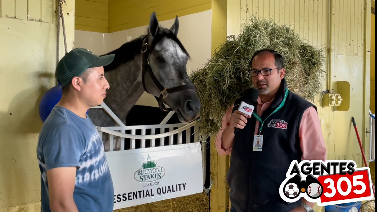 ESSENTIAL QUALITY - El Día después de ganar el Belmont Stakes 2021