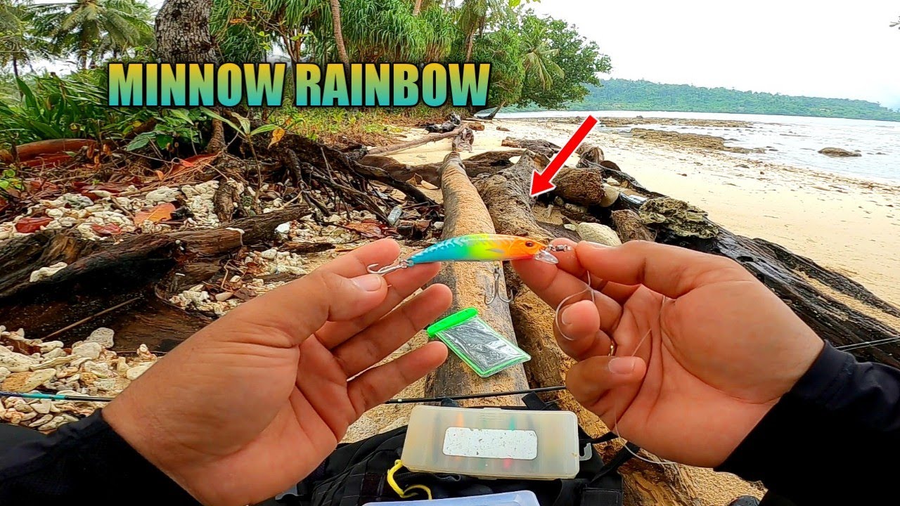 TERBUKTI! STRIKE bertubi-tubi dengan minnow 6.5gr warna sakti