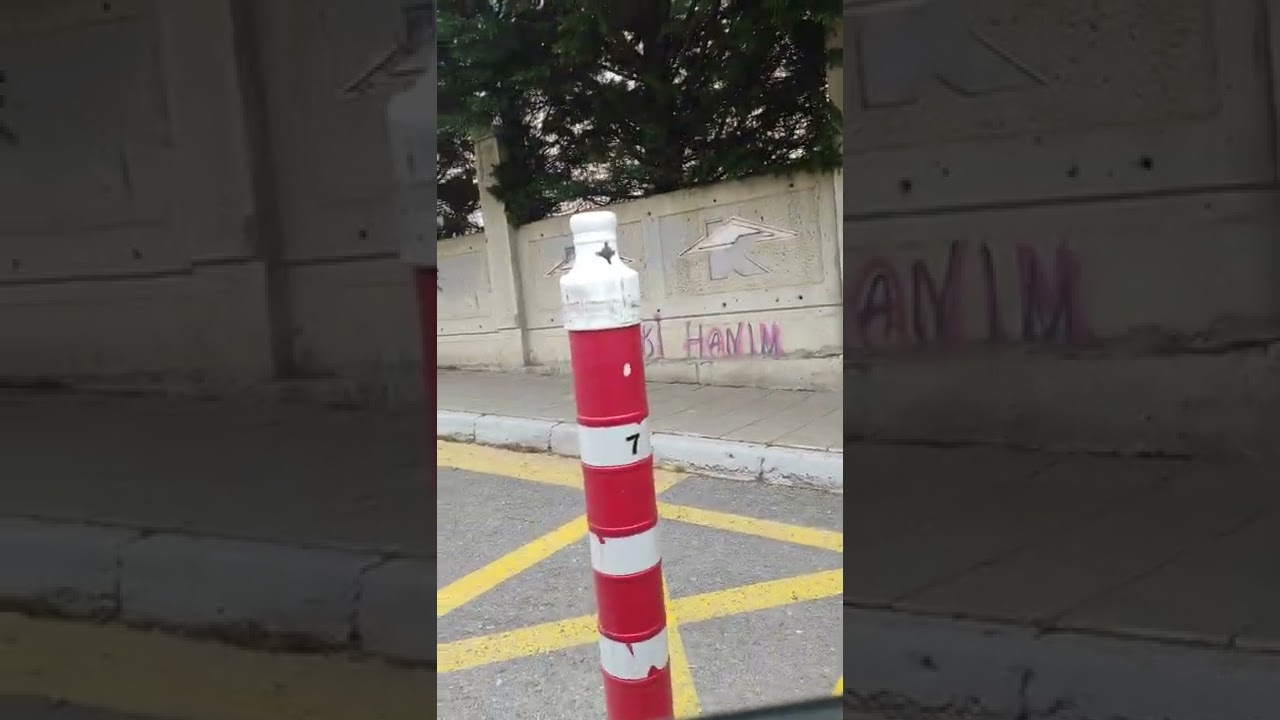 PARALEL PARK VE ÇIKIŞ