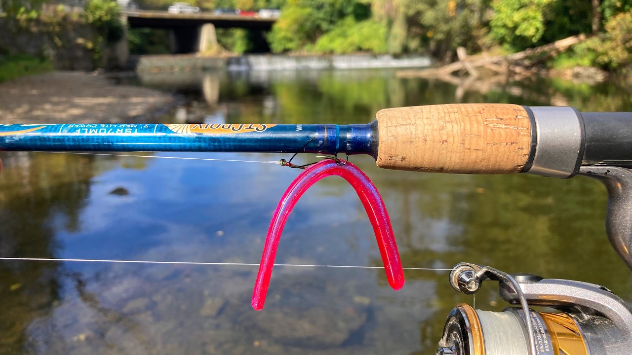 What can the MINI Wacky Worm Catch?