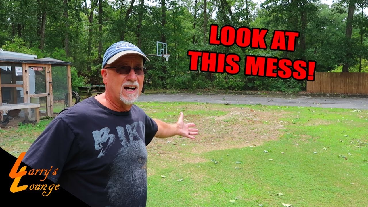 Tropical Storm Debby Arrives!