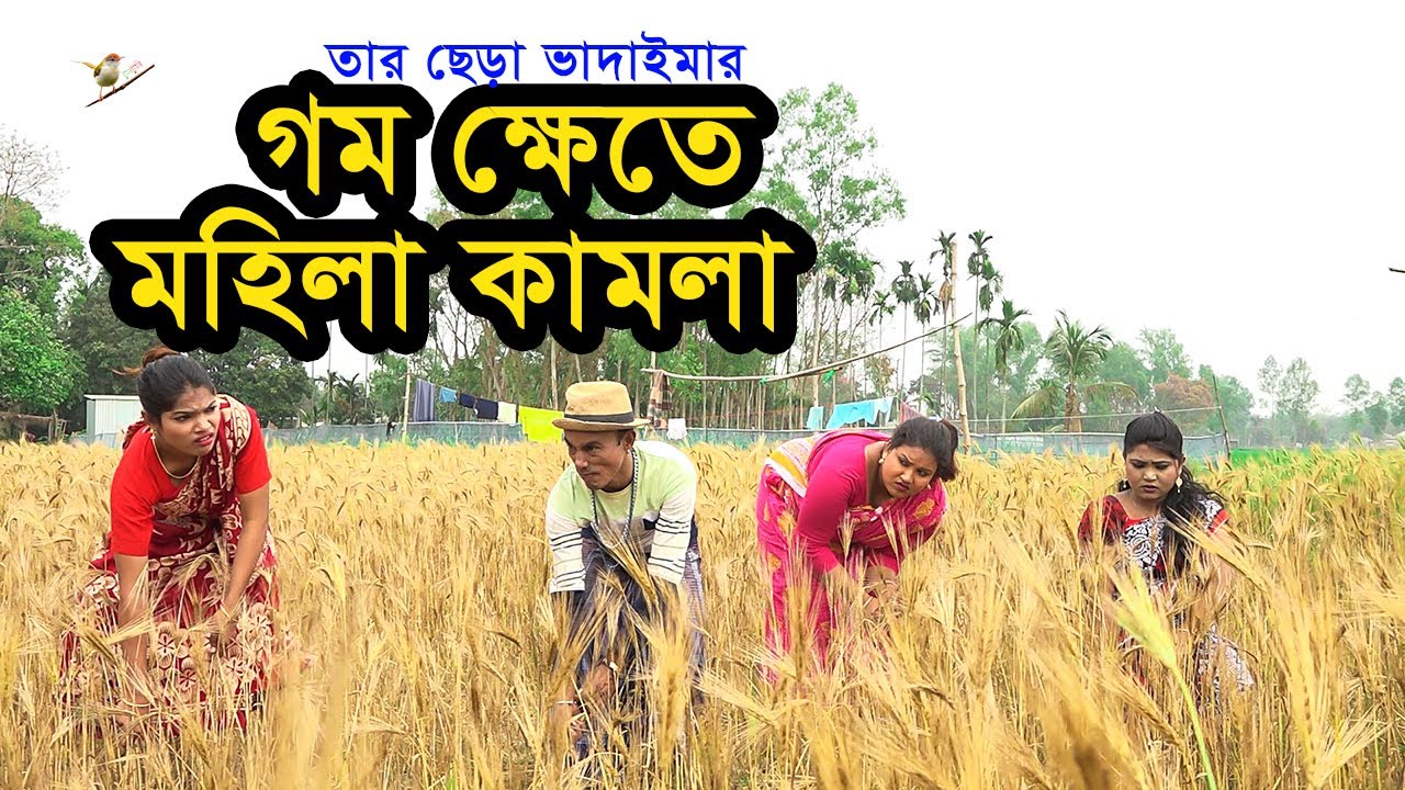 গম ক্ষেতে মহিলা কামলা | তার ছেড়া ভাদাইমা | চরম হাঁসির নতুন কৌতুক 2021 | Tarchera vadaima New koutuk