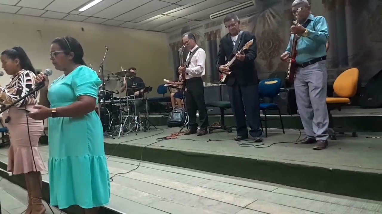 Oliveira verdadeira Jesus Cristo é